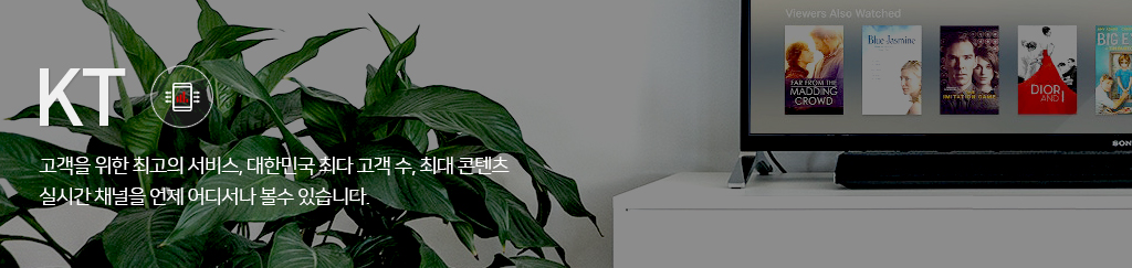 KT ������ ���� �ְ��� ����, ���ѹα� �ִ� ���� ��, �ִ� ������ �ǽð� ä���� ���� ��𼭳� ���� �ֽ��ϴ�.